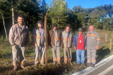 Parceria entre SMMA de Gramado e CPFL RGE garante o plantio de 550 mudas nativas