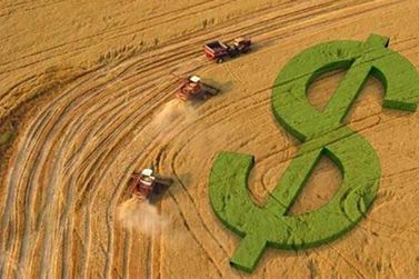Est&aacute; aberto o prazo para declara&ccedil;&atilde;o do Imposto Territorial Rural (ITR) em Nova Petr&oacute;polis