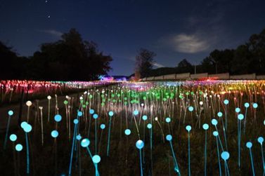 Lumni Gramado abre as portas da magia para as crian&ccedil;as com ingressos gratuitos em outubro