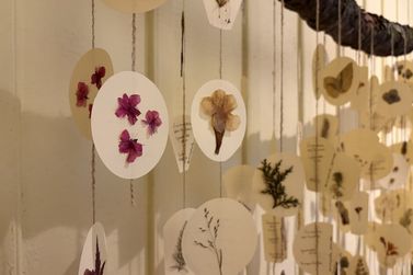 Museu Major Nicoletti de Gramado recebe exposi&ccedil;&atilde;o de arte bot&acirc;nica da Viva Planta