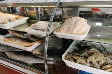 Setor pesqueiro de Guaratuba amplia mercado para 31 municípios do estado