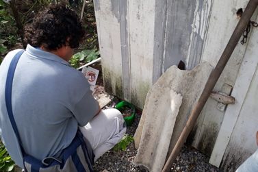 Ação de combate à dengue visita quase 700 imóveis no Piçarras 
