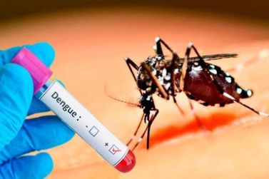Sesa emite novo boletim da dengue com 24 notifica&ccedil;&otilde;es em Guaratuba