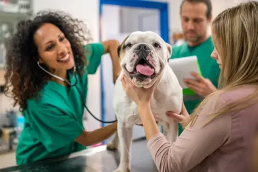 Atendimento veterin&aacute;rio gratuito beneficia pets em Guaratuba