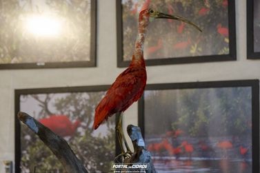 Exposi&ccedil;&atilde;o sobre biodiversidade atende escolas e p&uacute;blico na Semana de Guaratuba