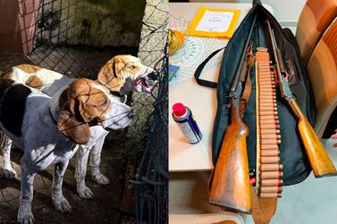 Opera&ccedil;&atilde;o combate ca&ccedil;a de animais silvestres na cidade e regi&atilde;o