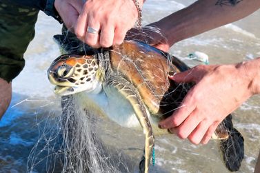 Pol&iacute;cia Ambiental apreende redes de pesca na Praia Central