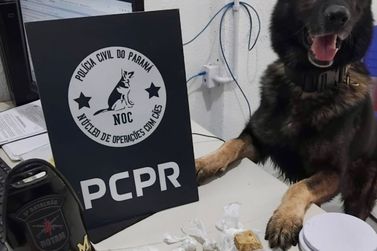 Pol&iacute;cias prendem suspeitos e apreendem drogas em Guaratuba