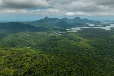 R$ 2 milh&otilde;es v&atilde;o fortalecer parques e reservas no Litoral do Paran&aacute;