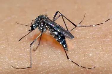 Microrregião de Saúde de Guaxupé tem segunda morte por Dengue registrada