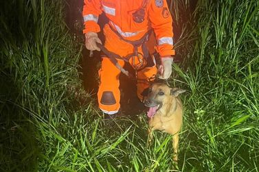 Bombeiros de Guaxupé resgatam cachorro perdido às margens de rio 