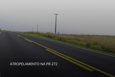 Homem morre ap&oacute;s atropelamento na PR-272 entre Ibaiti e Figueira