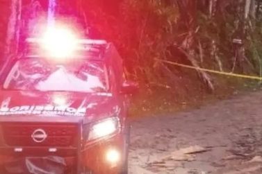 Homem fica ferido ap&oacute;s &aacute;rvore cair sobre ele em estrada rural de Ventania