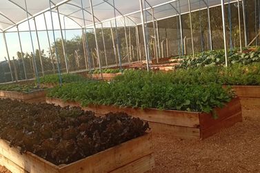 Ibaiti inaugura Horta Comunit&aacute;ria e fortalece a&ccedil;&otilde;es de seguran&ccedil;a alimentar