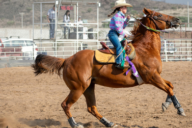 Expo Madre 2025 ter&aacute; Torneio Leiteiro e Poeir&atilde;o dos Cavalos