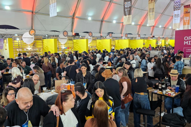 Queijos do Campo das Vertentes ganham vitrine em um dos maiores festivais do estado