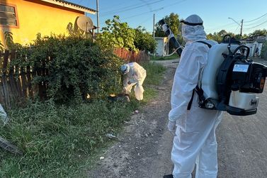 Taquara contratará 15 agentes de combate a endemias para a prevenção da dengue