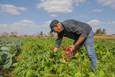 Agricultores se re&uacute;nem em encontro para discutir produ&ccedil;&atilde;o e comercializa&ccedil;&atilde;o em Taquara