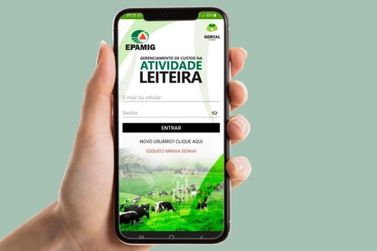 EPAMIG lança app gratuito para gerenciamento de custos na atividade leiteira