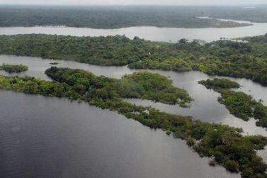 Preservação da Amazônia é prioridade do governo eleito na COP27