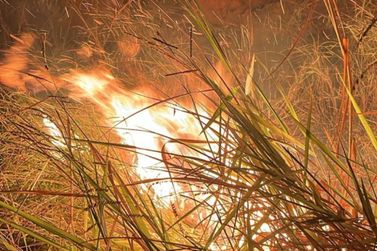 Incêndio em lote vago assusta moradores em condomínio de Ipatinga