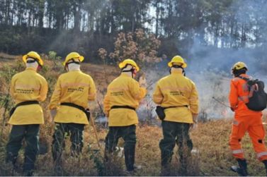 Bombeiros de MG abrem vagas temporárias para brigadistas florestais