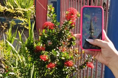 Projeto Esta&ccedil;&atilde;o abre inscri&ccedil;&otilde;es para oficinas de fotografia em Tim&oacute;teo
