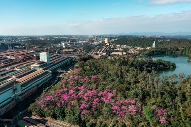 Usiminas publica Relat&oacute;rio de Sustentabilidade 2025