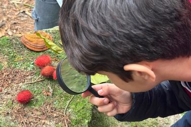 Educa&ccedil;&atilde;o ambiental leva estudantes da teoria &agrave; pr&aacute;tica no Ref&uacute;gio de Vida Silvestre