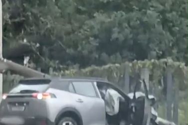 Homem &eacute; levado &agrave; delegacia ap&oacute;s perseguir mulher em Itapema
