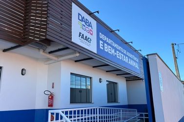 DABA abre inscri&ccedil;&otilde;es para mutir&atilde;o de castra&ccedil;&atilde;o de c&atilde;es e gatos em Itapema