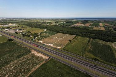 Terreno &agrave; venda - 35991m&sup2; - Nova Guarita