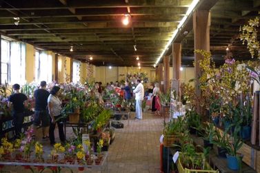Flores, relíquias e tradições: Itu recebe eventos no Espaço Fábrica São Luiz