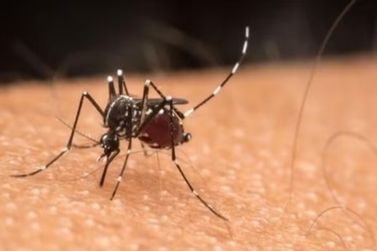 Itu registra primeira morte por dengue este ano