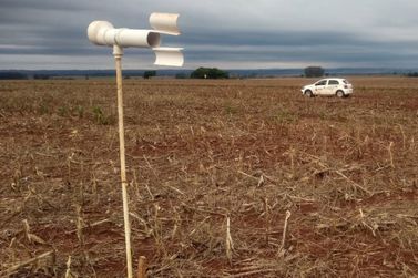 IDR-Paraná inicia Alerta Ferrugem para monitorar doença que afeta a soja