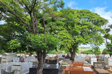 Falecimentos ocorridos em Jacarezinho entre 01 e 08 de abril