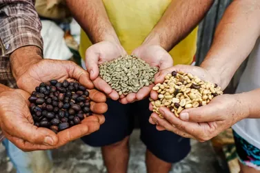 ​Paran&aacute; anuncia vencedores do 23&ordm; Concurso Caf&eacute; Qualidade com 130 lotes