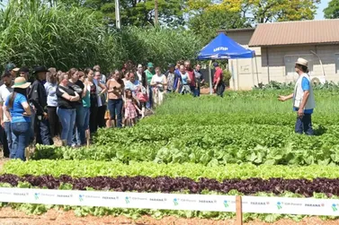 ​Tecnologia e sustentabilidade se unem no IV Dia de Campo Org&acirc;nico da UENP
