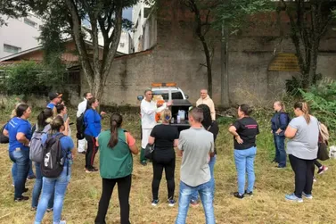 Casos de dengue caem mais de 96 por cento no Paran&aacute; em 2026
