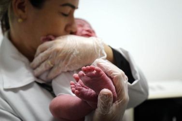 Paran&aacute; atinge menor taxa de sub-registro de nascimentos do Brasil