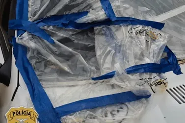 ​Pol&iacute;cia Civil esclarece atropelamento de idoso na Avenida Manoel Ribas em Jacarezinho