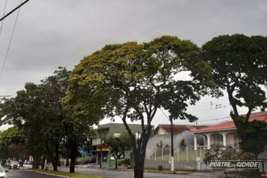 ​Jacarezinho ter&aacute; dias de sol e temperaturas de at&eacute; 26&deg;C nos pr&oacute;ximos dias
