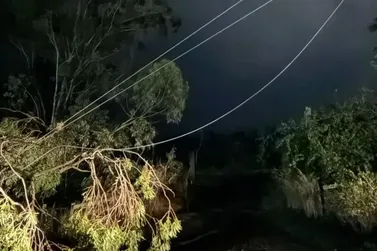 ​Temporais deixam 180 mil im&oacute;veis sem energia el&eacute;trica no Paran&aacute;
