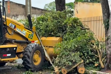 ​Vendaval atinge Jacarezinho e cidades do Norte Pioneiro
