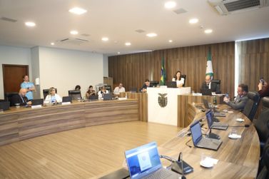 Paraná aprova o primeiro Código Estadual da Pessoa Autista do país