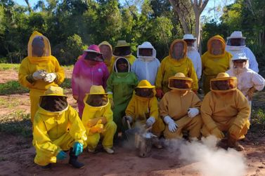 UEM desenvolve pesquisa genética com abelhas em Diamante do Norte