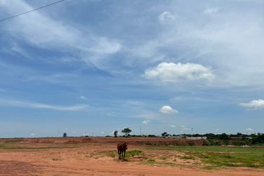 Paran&aacute; decreta situa&ccedil;&atilde;o de emerg&ecirc;ncia em fun&ccedil;&atilde;o da estiagem