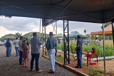 Evento gratuito recebe pecuaristas de Loanda e regi&atilde;o nesta quinta-feira (25)