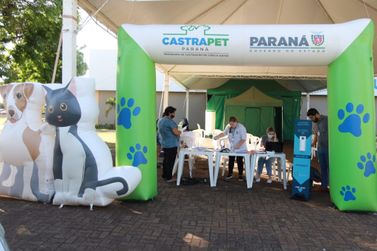 Porto Rico abre inscri&ccedil;&otilde;es do Programa Castrapet