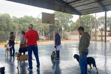 Cidades da regi&atilde;o de Loanda recebem CastraPet em junho